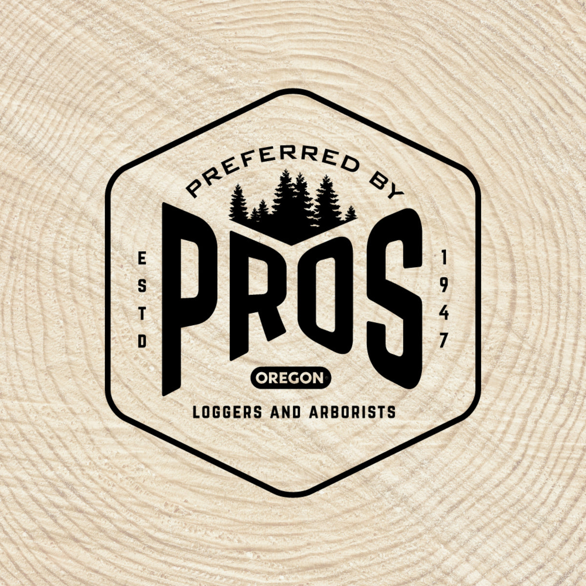 Oregon Lightweight VersaCut™ Guide Bar, 0VXLGK216 - .325" Pitch / .050" Gauge