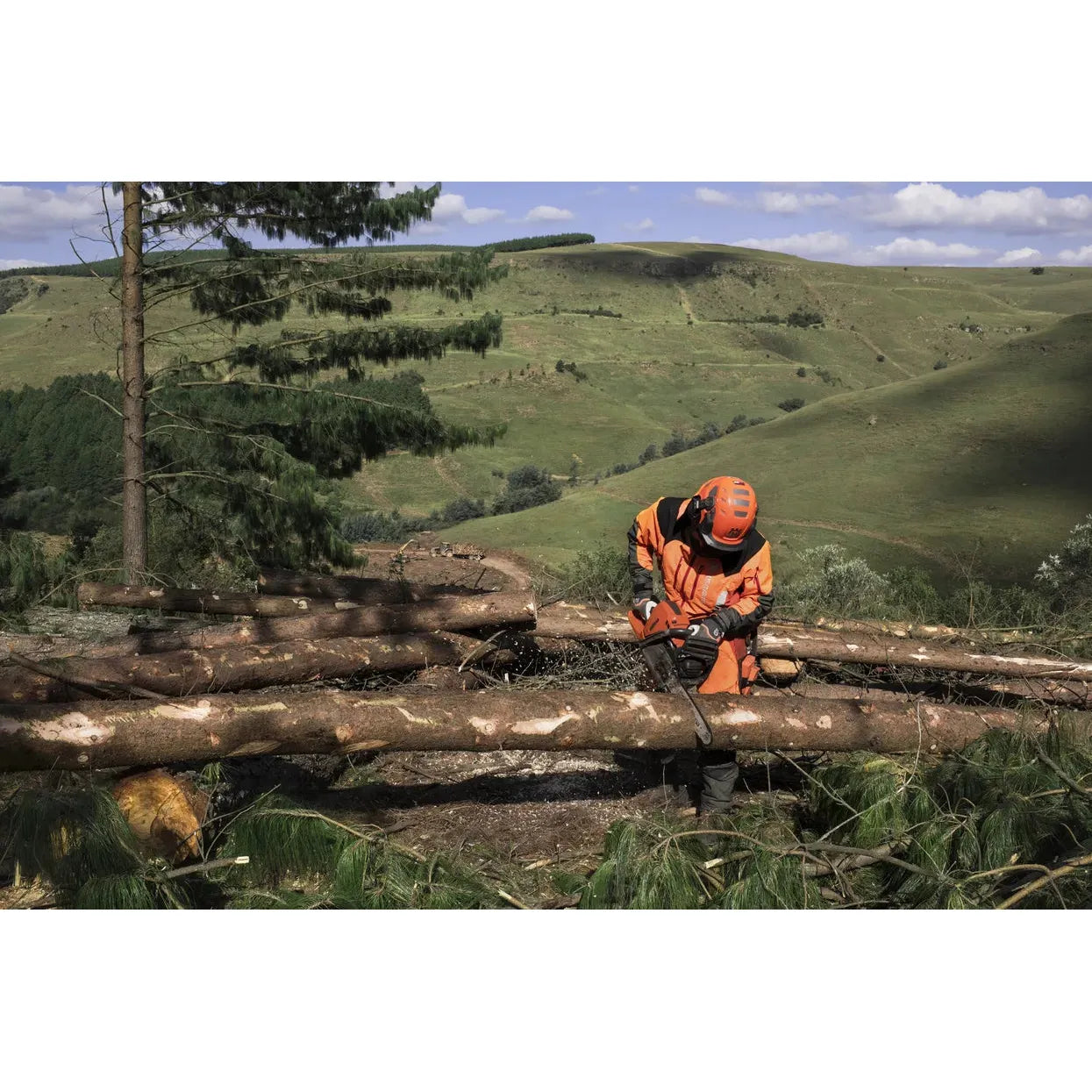 Husqvarna 565 Chain Saw - 70.6 CC - 5 HP*