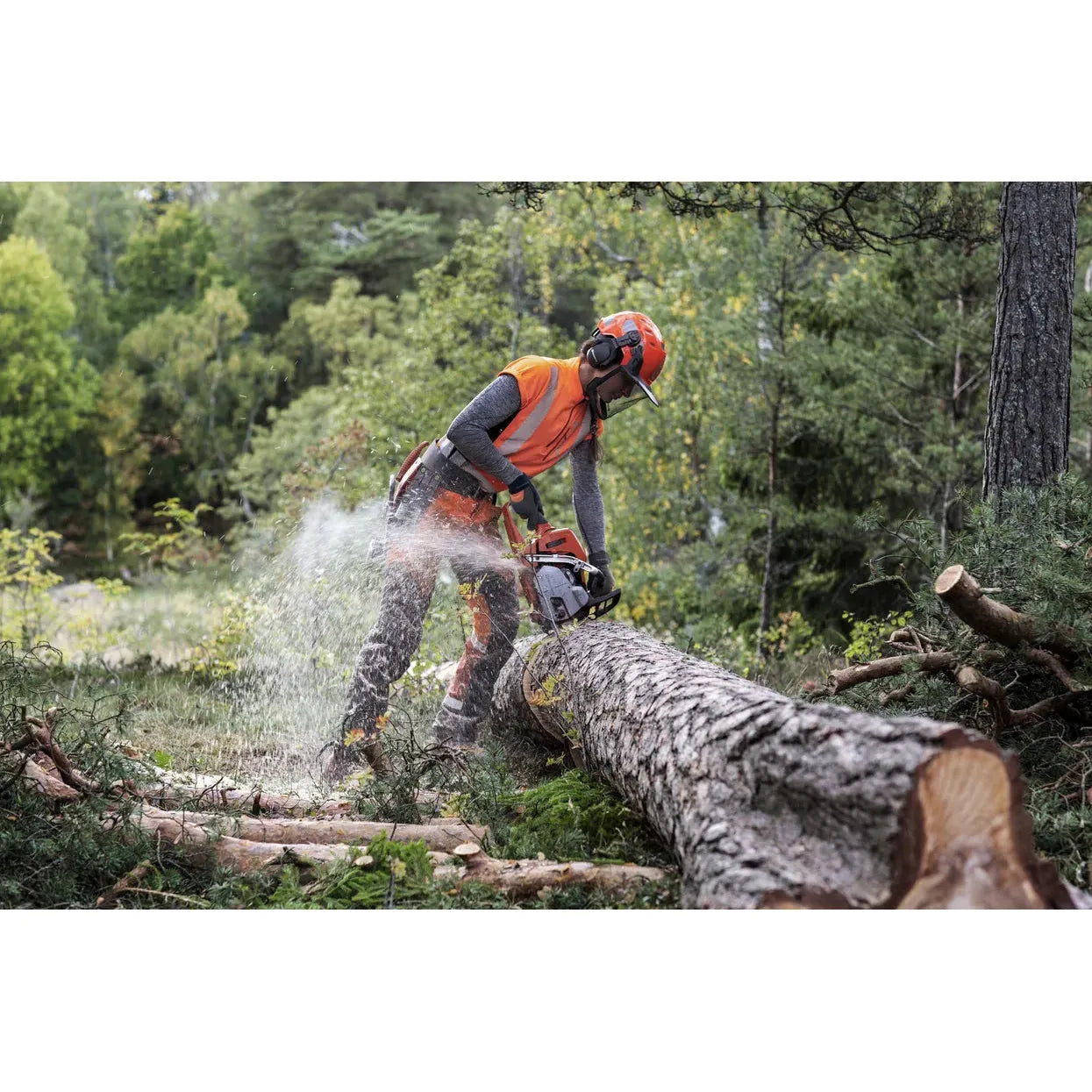 HUSQVARNA 550 XP® Mark II Chain Saw - 50.1 CC - 4 HP*