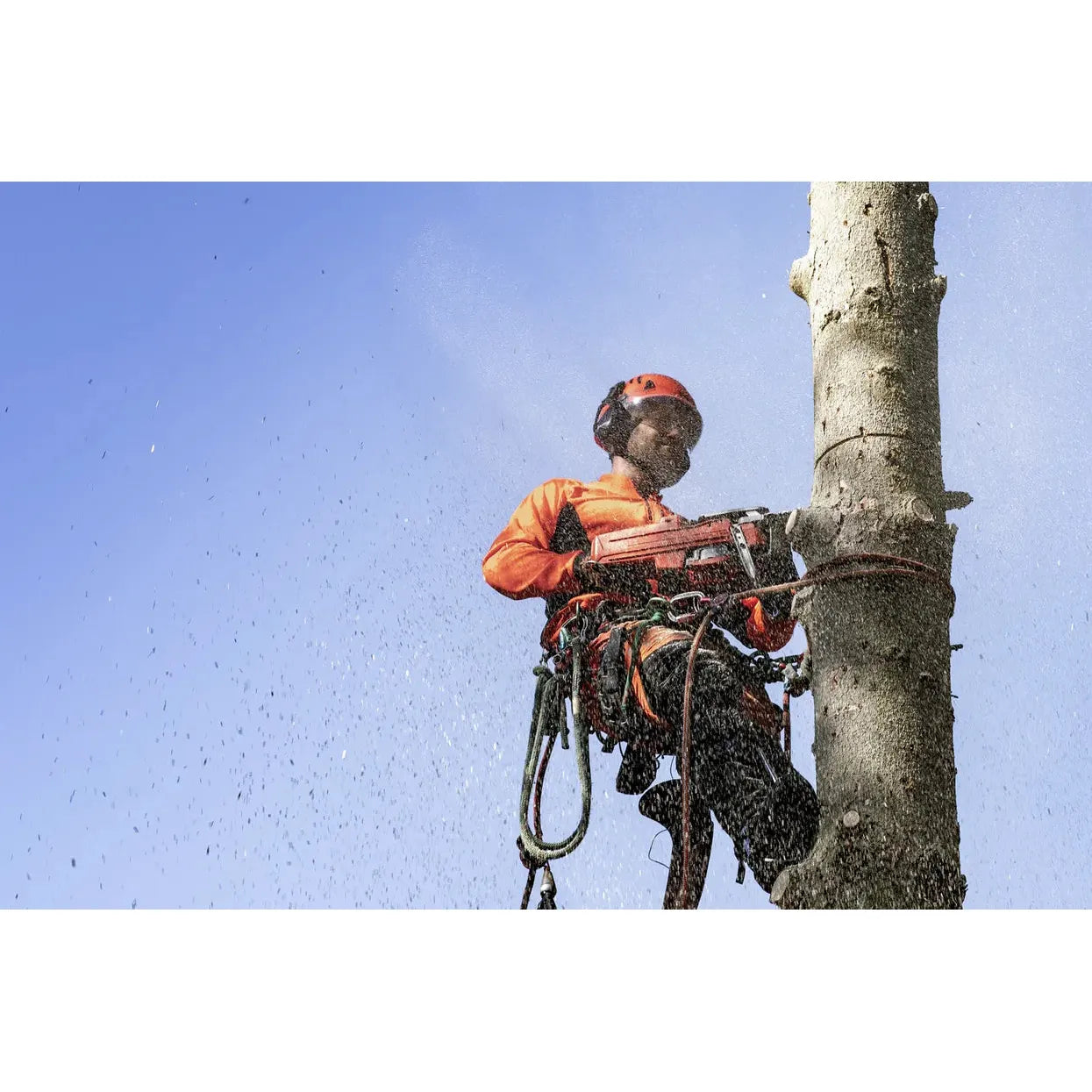 HUSQVARNA 545 Mark II Chain Saw - 50.1 CC - 3.6 HP*