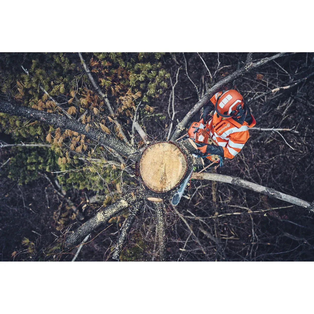 Husqvarna 562 XP® Mark II Chain Saw - 59.8 CC - 4.7 HP*