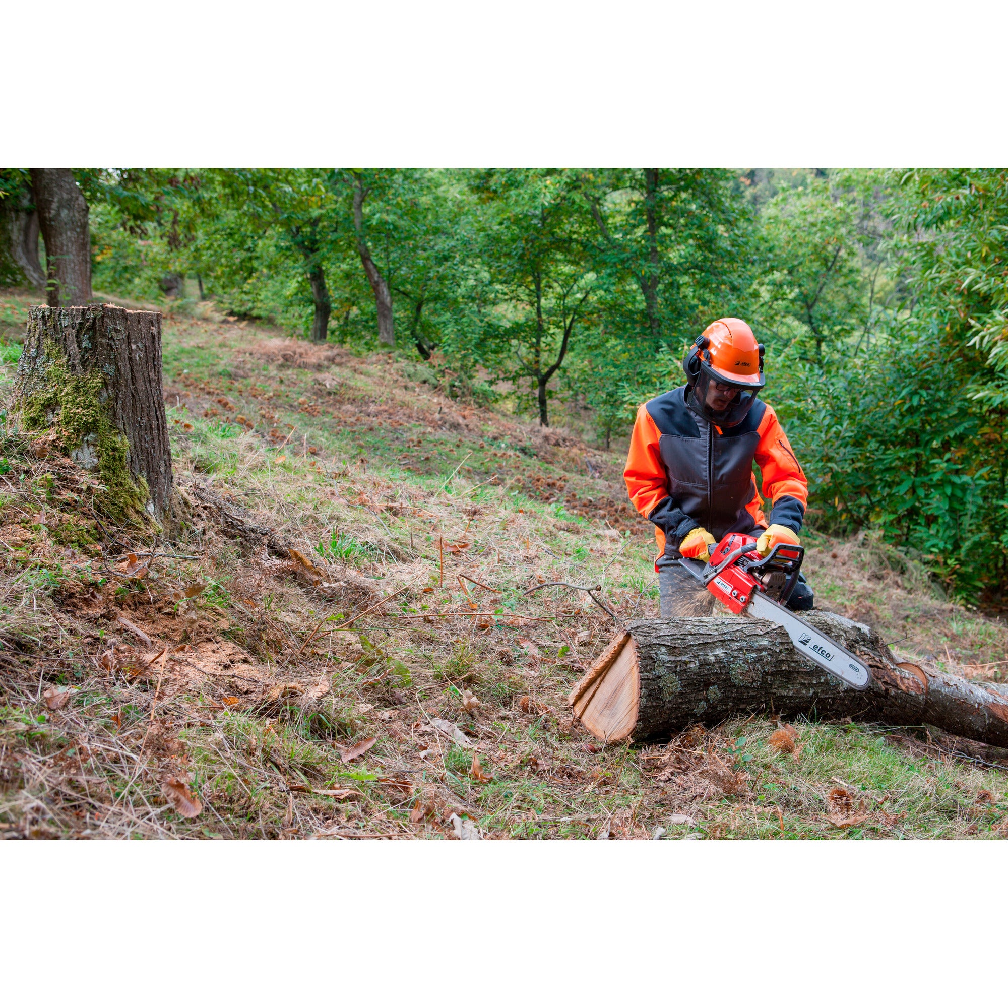 Efco MT6510 Professional Chain Saw