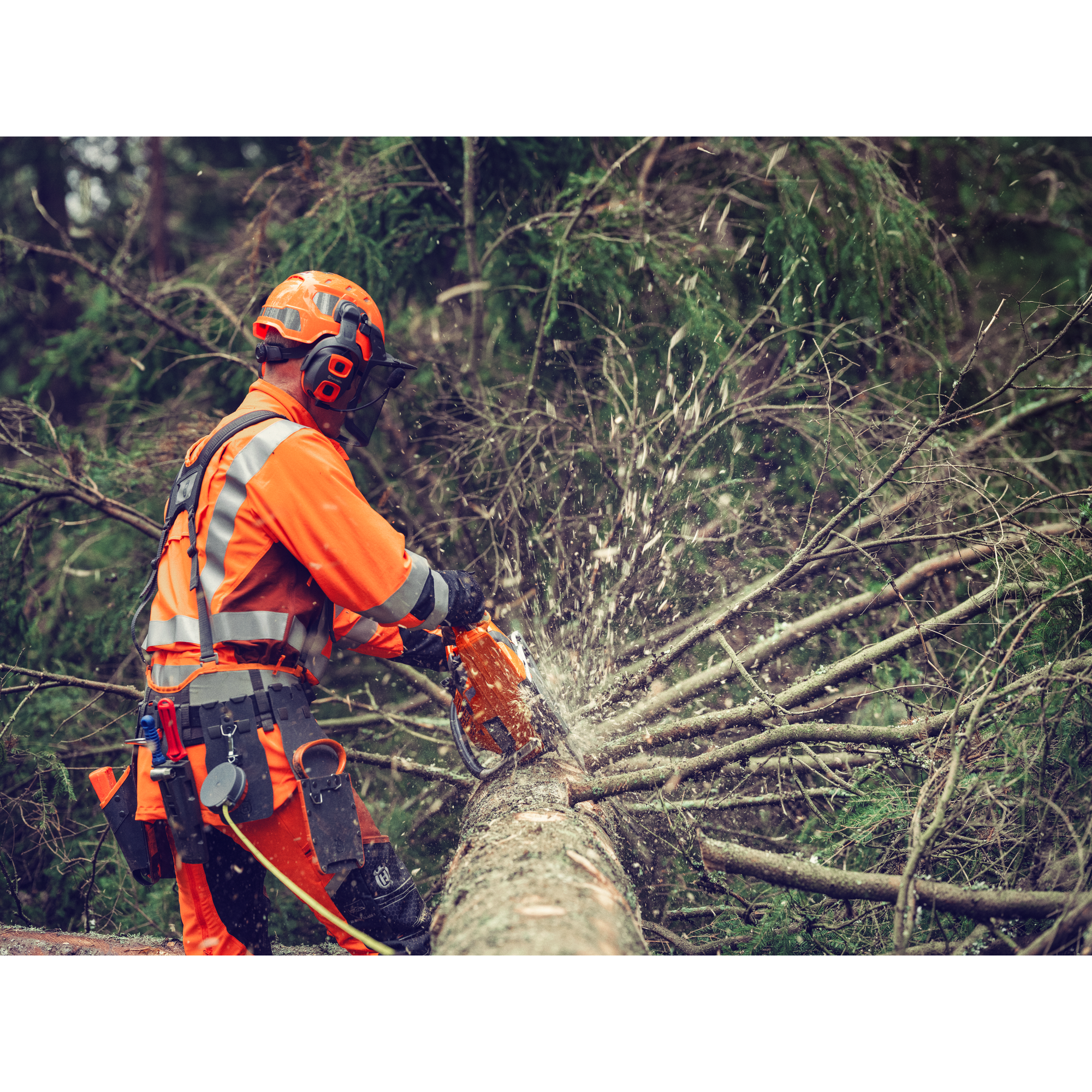 Husqvarna 564 XP® Fuel Injected Chain Saw - 60 CC (PRE-ORDER ONLY) - DEPOSIT REQUIRED
