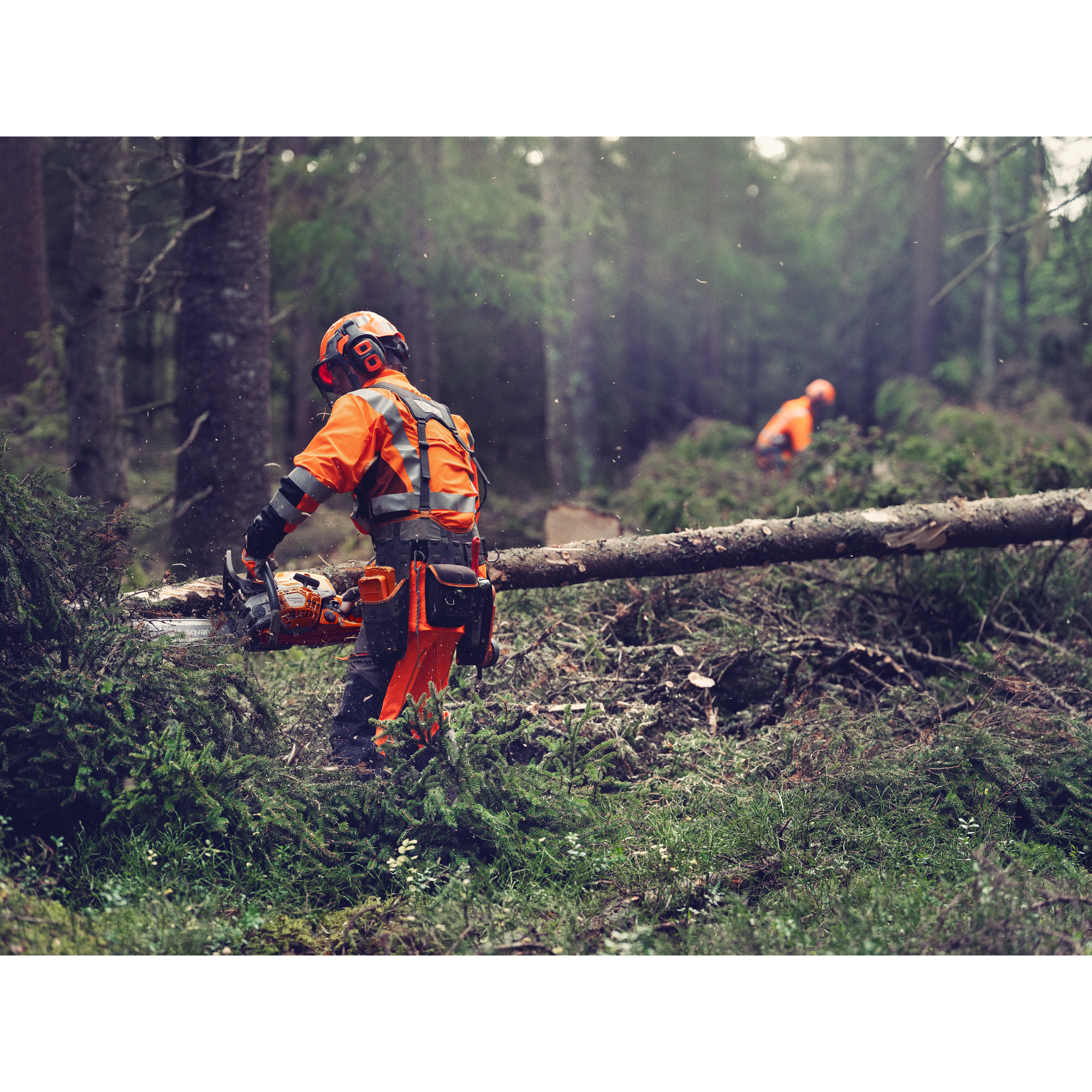 Husqvarna 564 XP® Fuel Injected Chain Saw - 60 CC (PRE-ORDER ONLY) - DEPOSIT REQUIRED